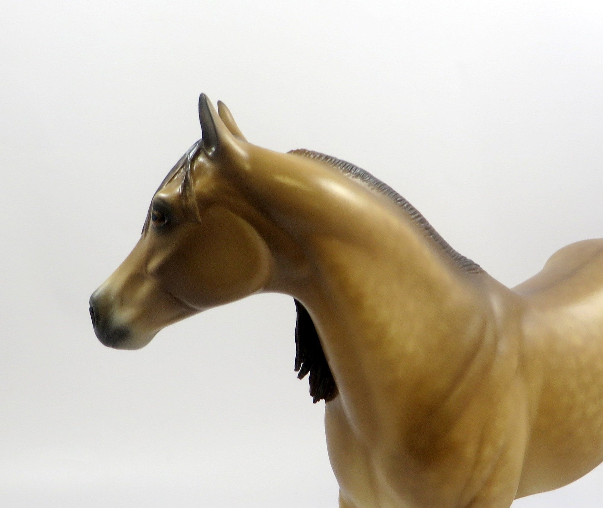 SECRET LOVE - OOAK DAPPLE BUCKSKIN ISH BY SHERYL LEISURE 5/29/19