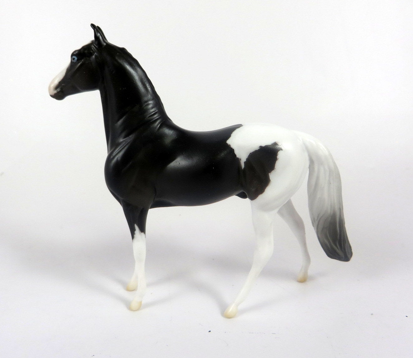 JIMBO -- OOAK BLACK PINTO MORGAN  CHIP BY AUDREY DIXON LHS 19