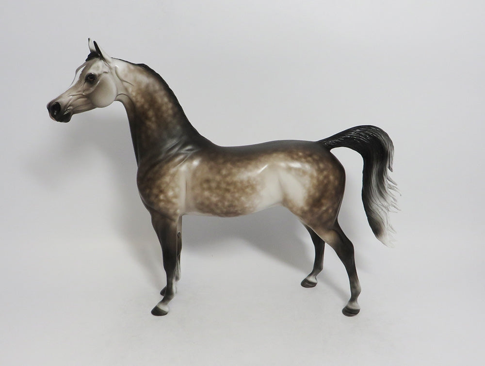 SANIBEL-OOAK DAPPLE BAY GOING GREY MODEL HORSE 9/14/18