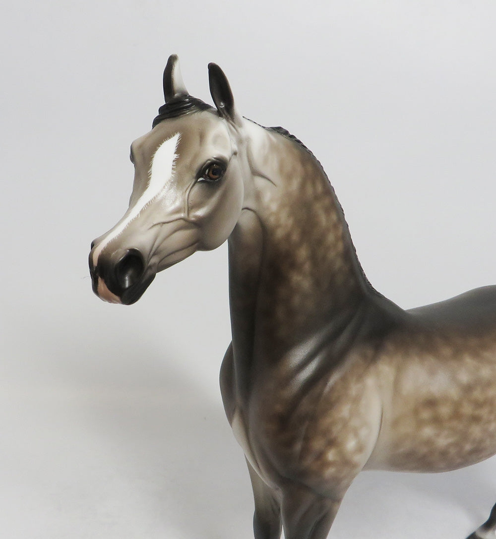 SANIBEL-OOAK DAPPLE BAY GOING GREY MODEL HORSE 9/14/18