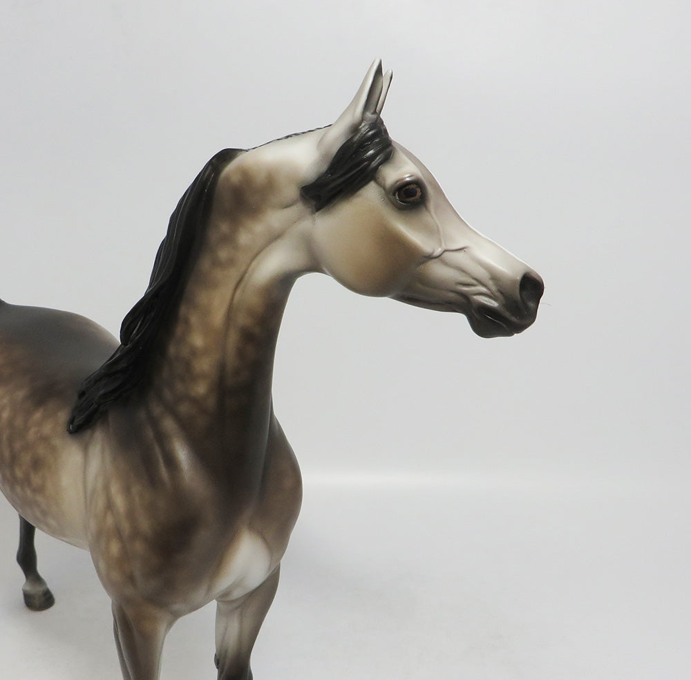 SANIBEL-OOAK DAPPLE BAY GOING GREY MODEL HORSE 9/14/18