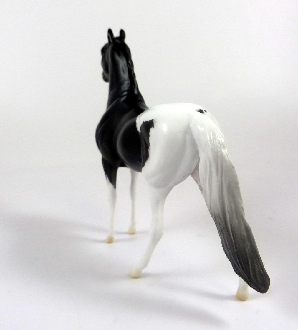 JIMBO -- OOAK BLACK PINTO MORGAN  CHIP BY AUDREY DIXON LHS 19