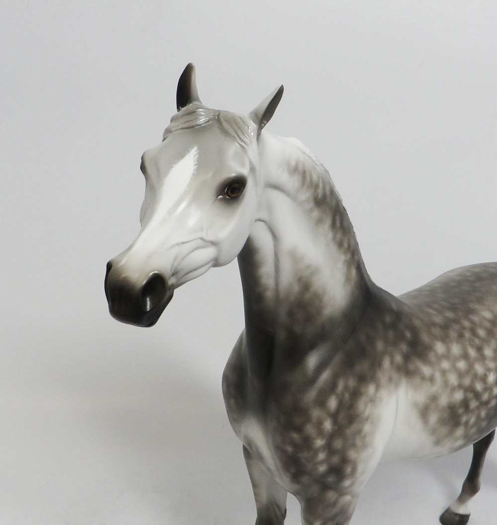 MALIBU-OOAK STAR DAPPLE GREY ARABIAN MODEL HORSE BY SHERYL LEISURE 9/14/18