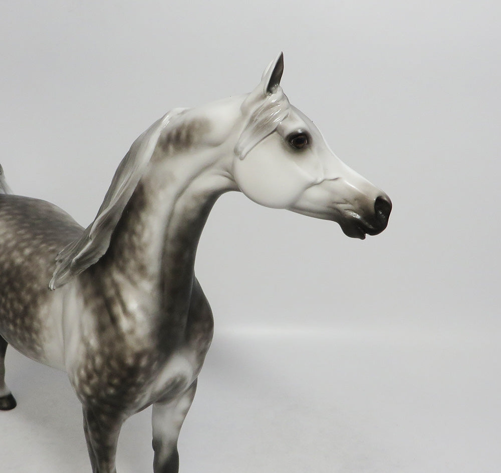 MALIBU-OOAK STAR DAPPLE GREY ARABIAN MODEL HORSE BY SHERYL LEISURE 9/14/18