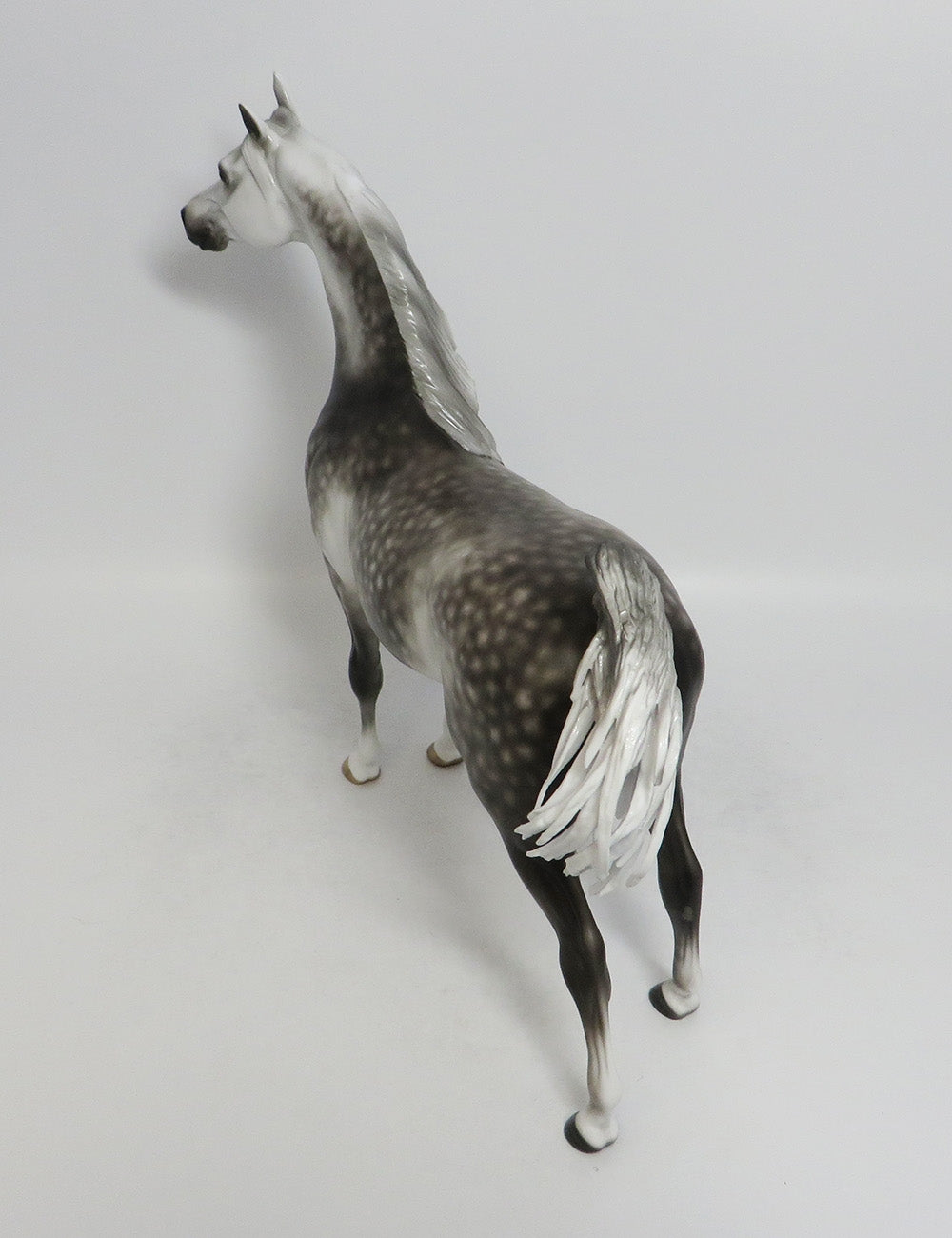 MALIBU-OOAK STAR DAPPLE GREY ARABIAN MODEL HORSE BY SHERYL LEISURE 9/14/18