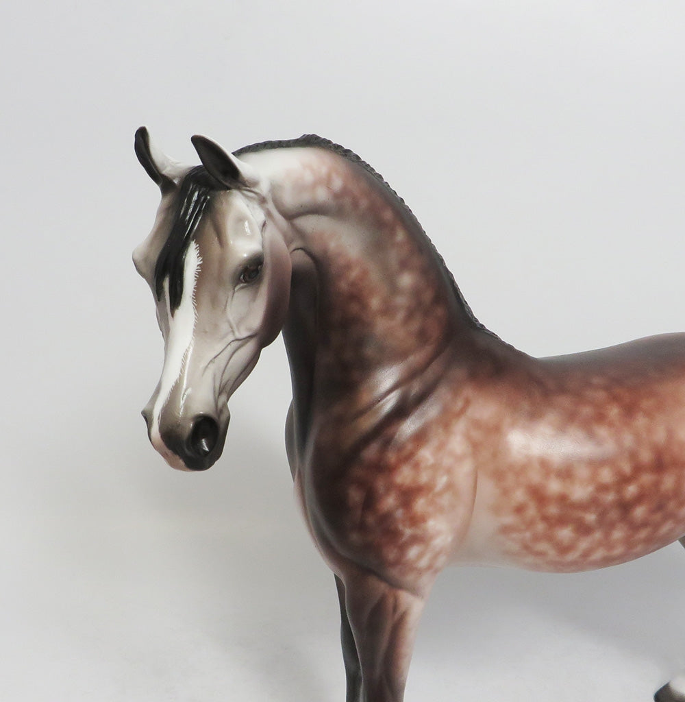 SIESTA KEY-OOAK STAR DAPPLE ROSE GREY ARABIAN MODEL HORSE BY SHERYL LEISURE 9/14/18