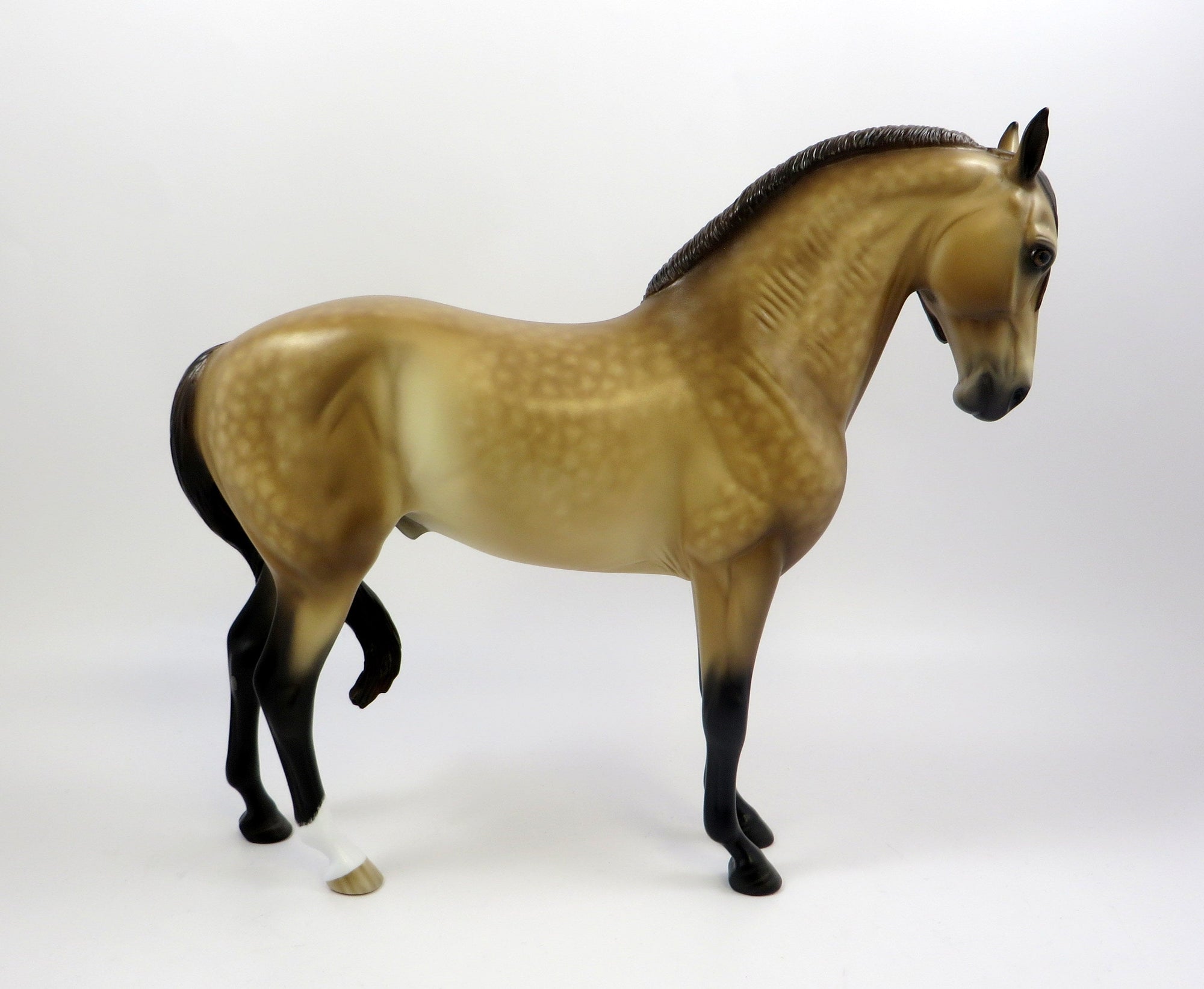 LOVE ME OR LEAVE ME-OOAK BUCKSKIN ANDALUSIAN MODEL HORSE BY SHERYL LEISURE 5-30-19