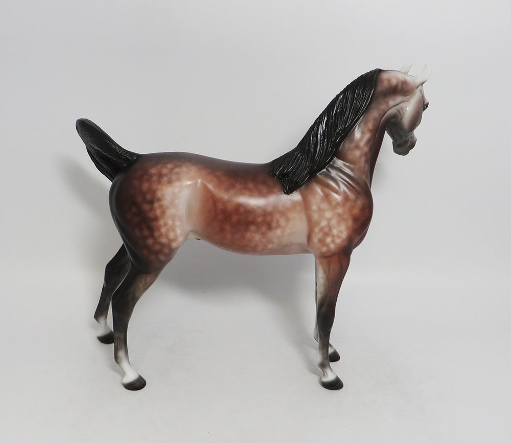 SIESTA KEY-OOAK STAR DAPPLE ROSE GREY ARABIAN MODEL HORSE BY SHERYL LEISURE 9/14/18