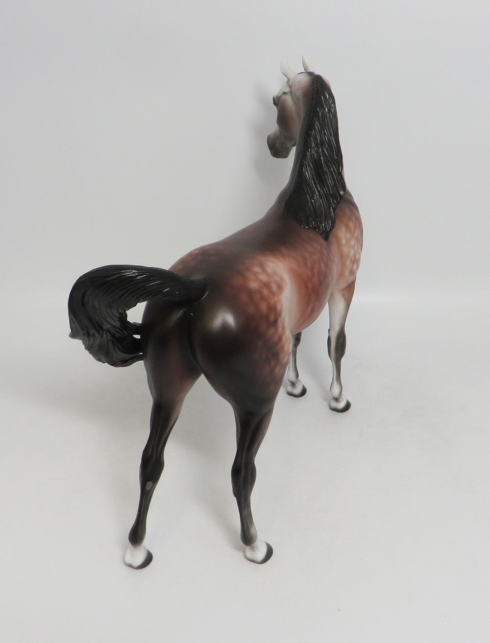 SIESTA KEY-OOAK STAR DAPPLE ROSE GREY ARABIAN MODEL HORSE BY SHERYL LEISURE 9/14/18