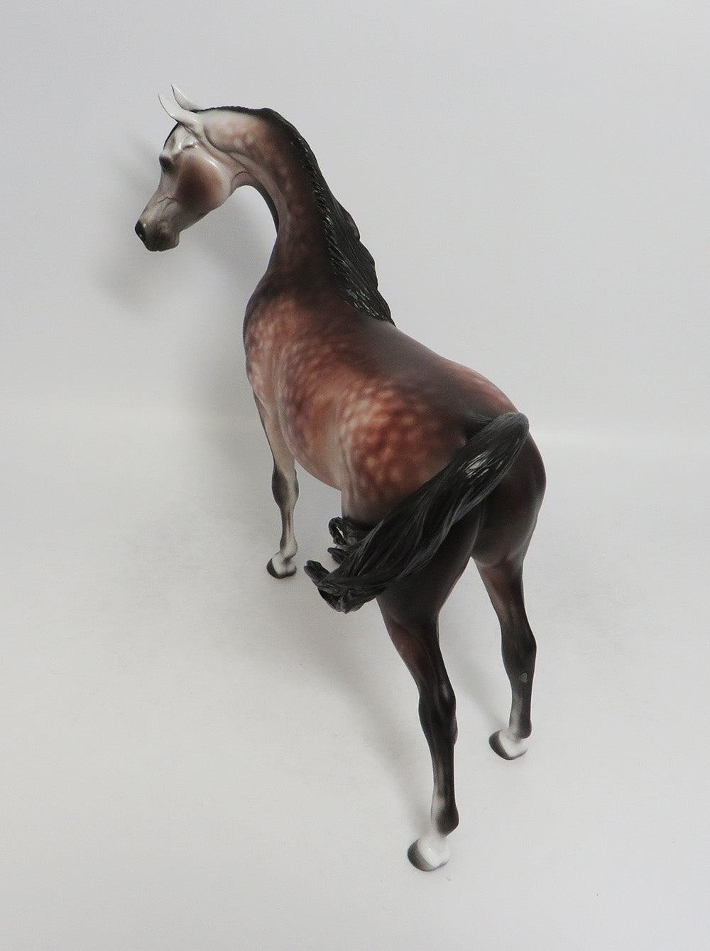 SIESTA KEY-OOAK STAR DAPPLE ROSE GREY ARABIAN MODEL HORSE BY SHERYL LEISURE 9/14/18