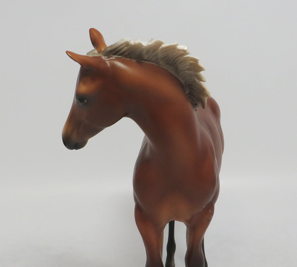 KEY WEST-OOAK SILVER BAY DAPPLE WEANLING 9/14/18