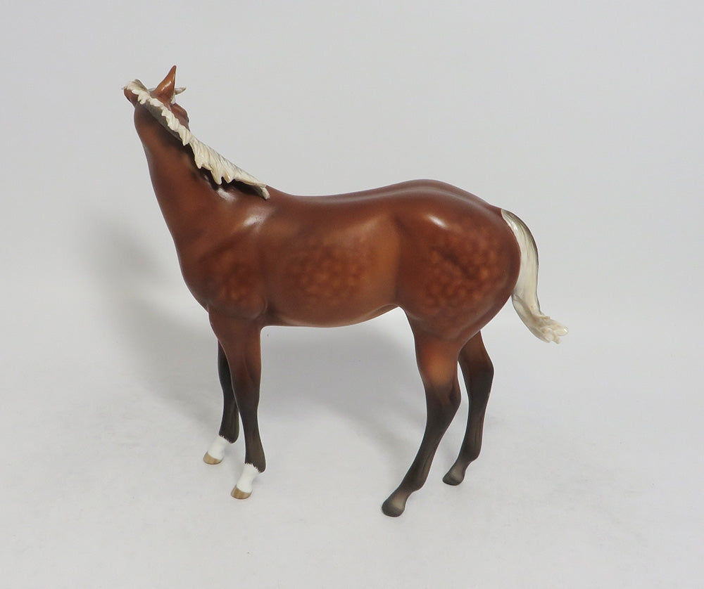 KEY WEST-OOAK SILVER BAY DAPPLE WEANLING 9/14/18