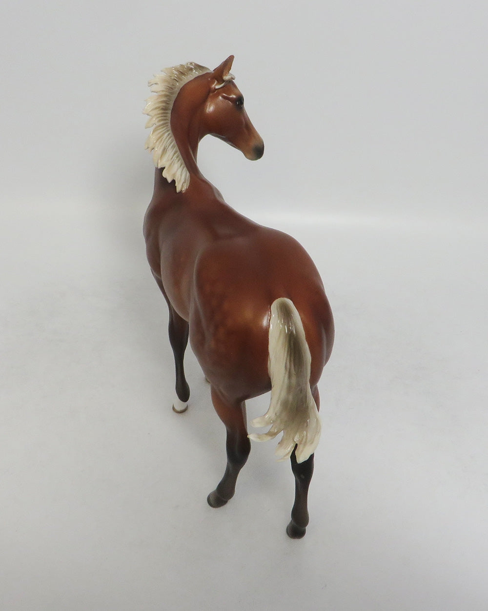 KEY WEST-OOAK SILVER BAY DAPPLE WEANLING 9/14/18