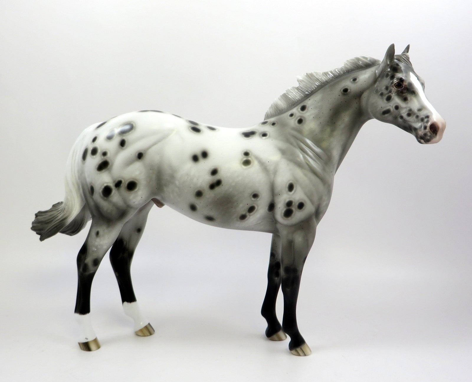 BEWITCHED-OOAK APPALOOSA ISH MODEL HORSE BY SHERYL LEISURE 5-29-19