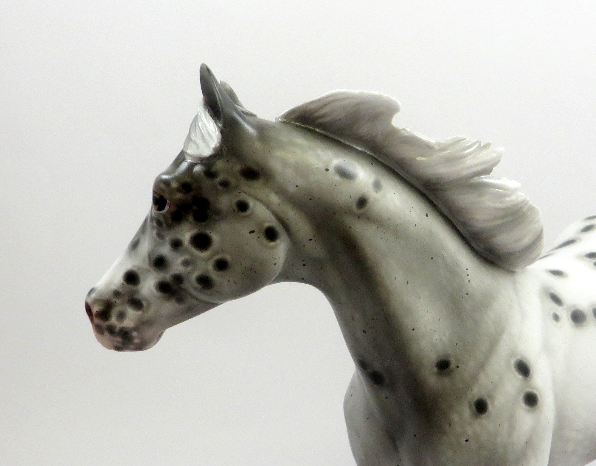 BEWITCHED-OOAK APPALOOSA ISH MODEL HORSE BY SHERYL LEISURE 5-29-19