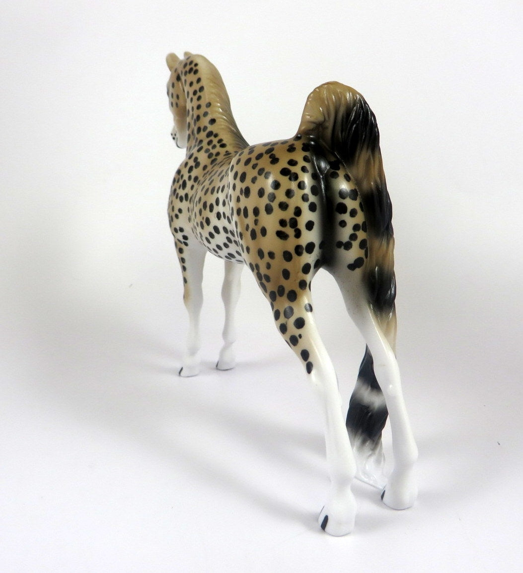 CHEETAH- LE-10- CHEETAH SADDLEBRED PEBBLE LHS BY AUDREY DIXON 2019