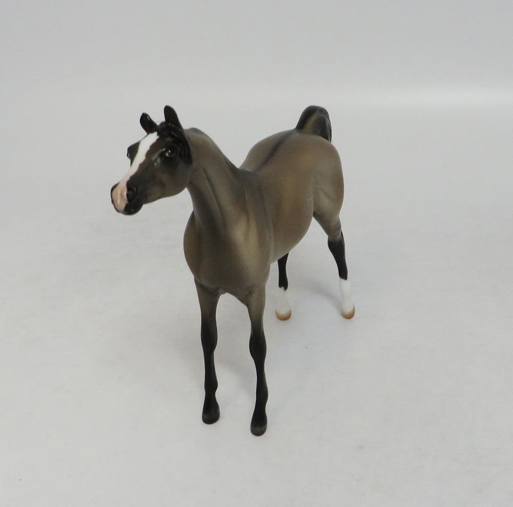 JULIE GRULLA-LE-20 GRULLA ARABIAN 7LHS 2018