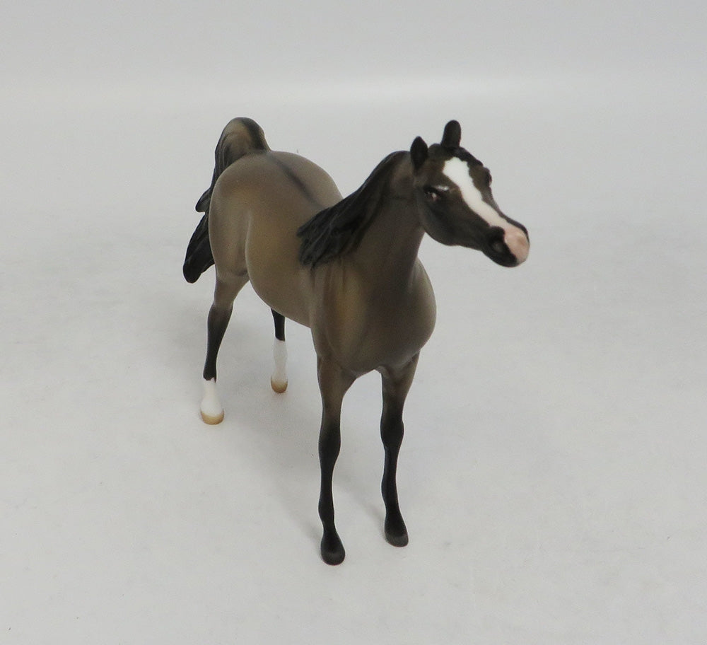 JULIE GRULLA-LE-20 GRULLA ARABIAN 7LHS 2018