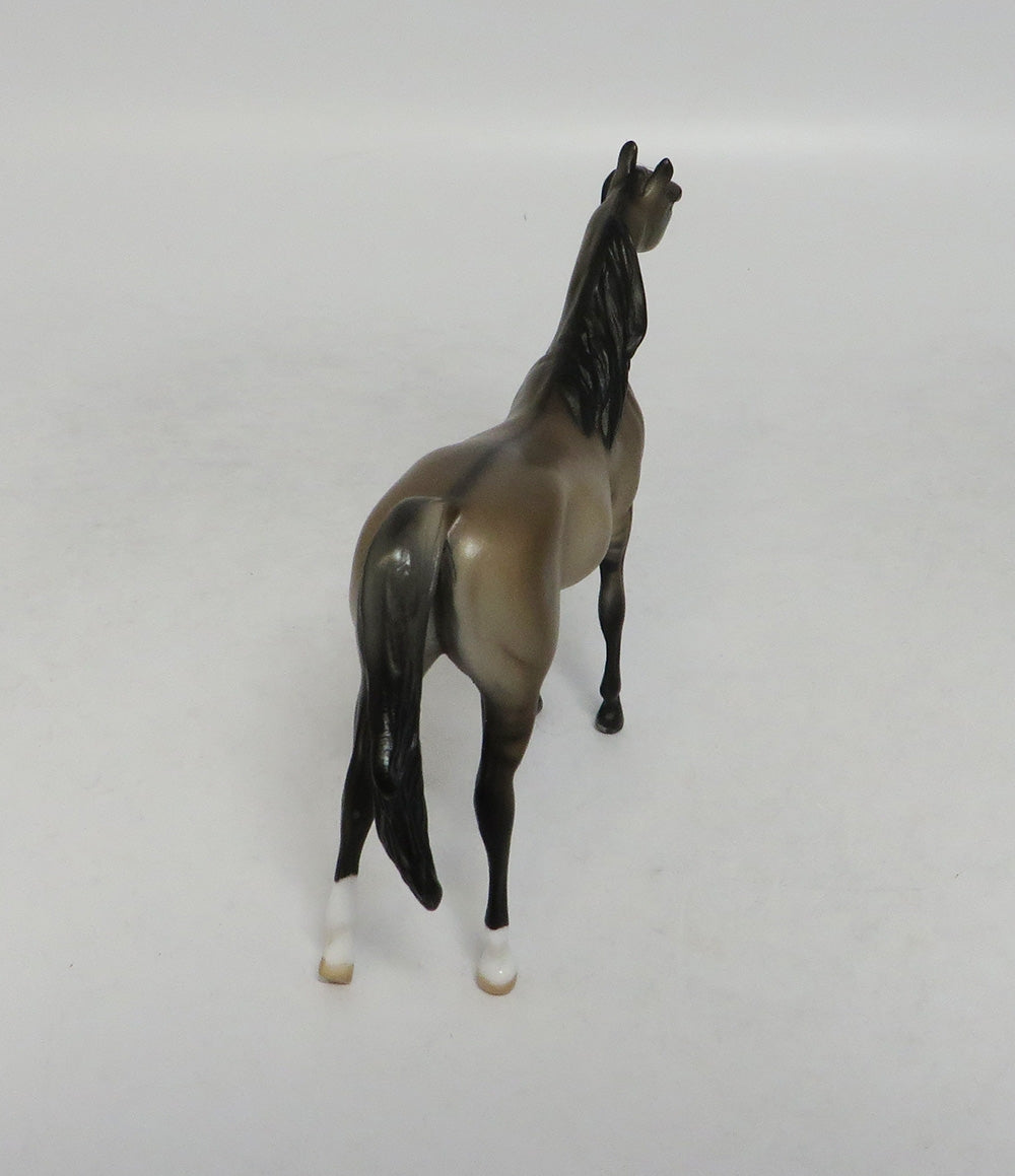 JULIE GRULLA-LE-20 GRULLA ARABIAN 7LHS 2018