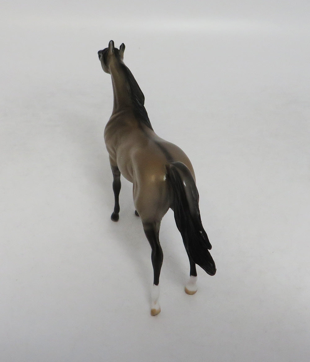 JULIE GRULLA-LE-20 GRULLA ARABIAN 7LHS 2018