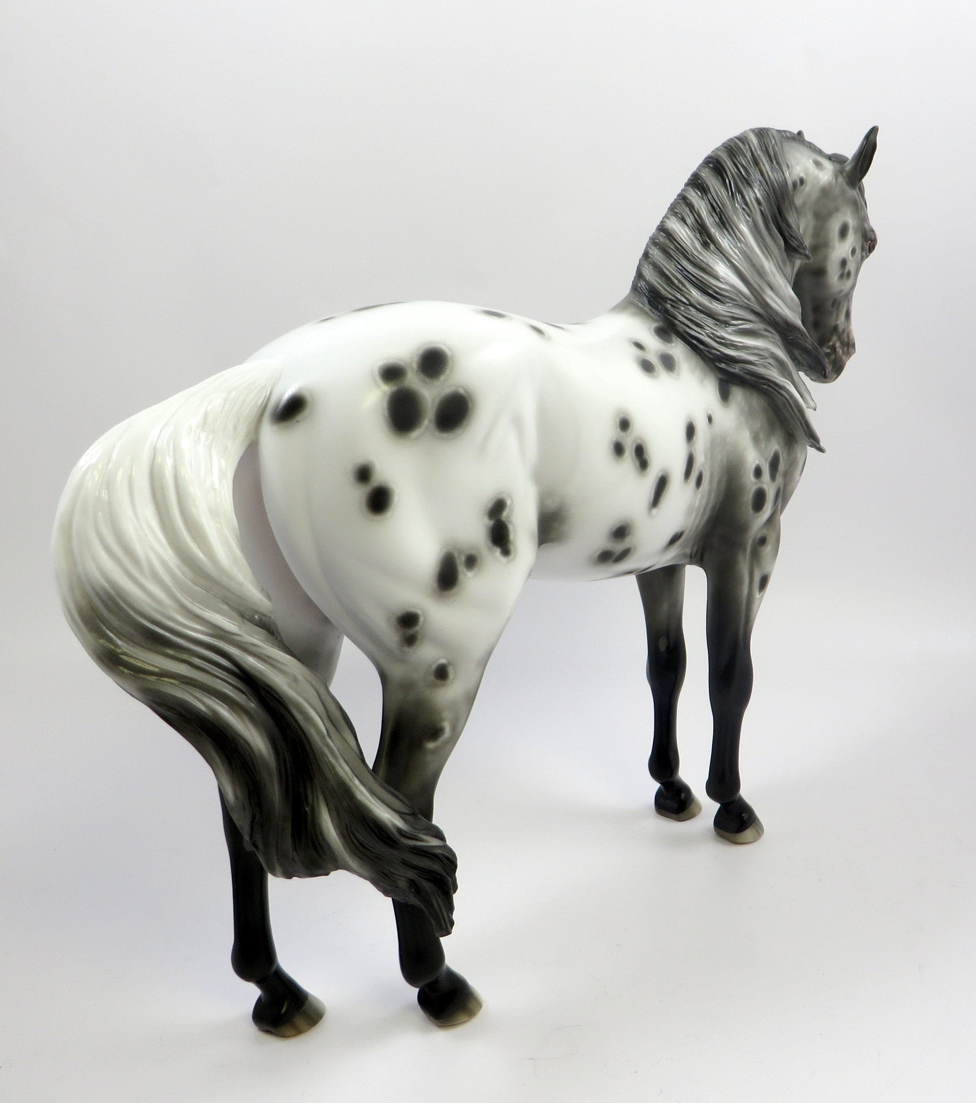 YOUNG AT HEART-OOAK LOUD APPALOOSA  ANDALUSIAN MODEL HORSE BY SHERYL LEISURE 5-30-19