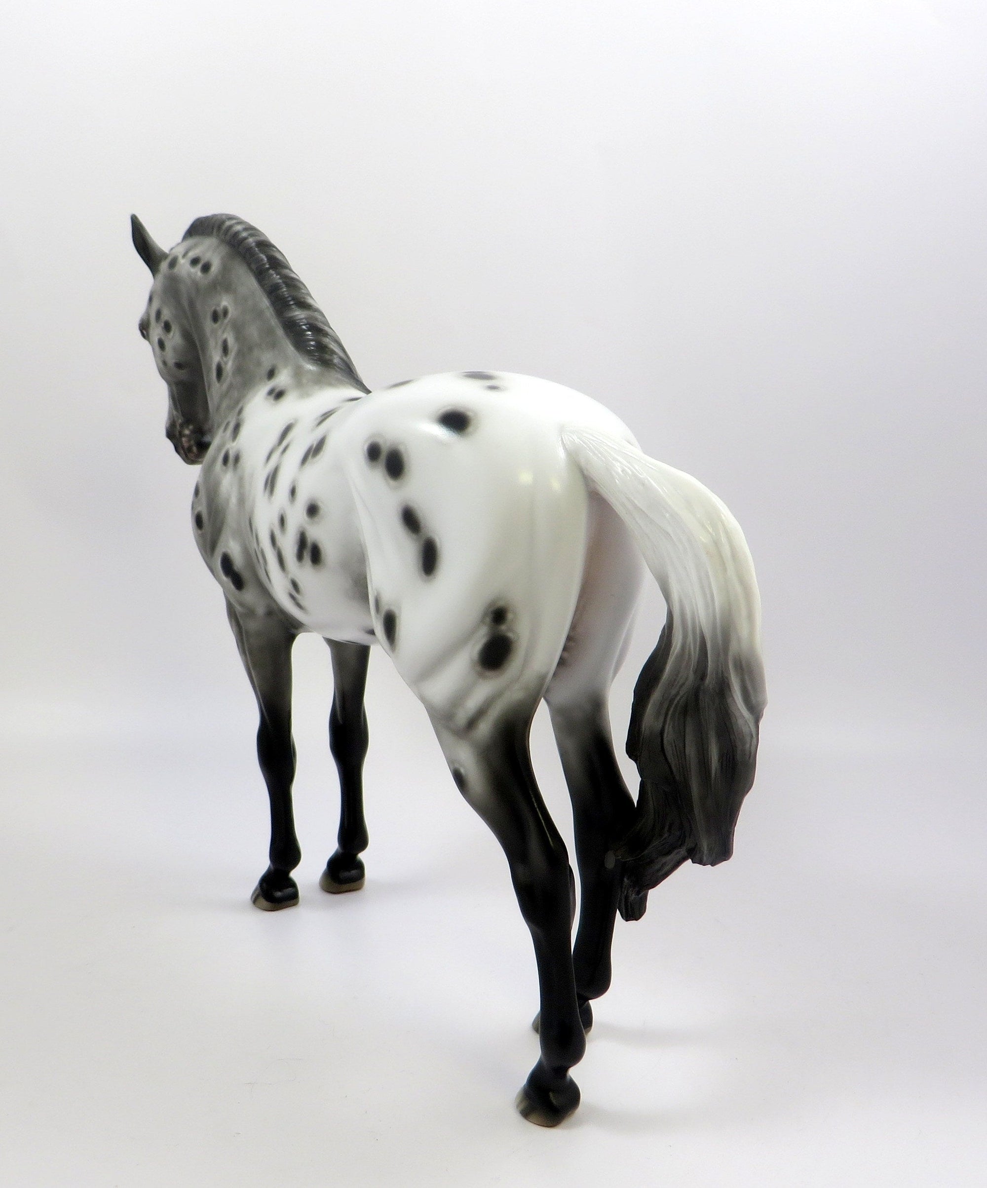 YOUNG AT HEART-OOAK LOUD APPALOOSA  ANDALUSIAN MODEL HORSE BY SHERYL LEISURE 5-30-19