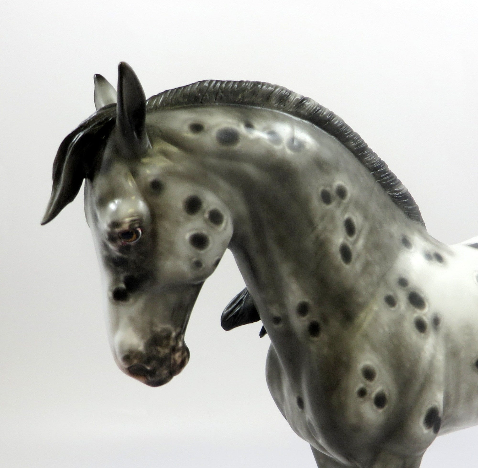 YOUNG AT HEART-OOAK LOUD APPALOOSA  ANDALUSIAN MODEL HORSE BY SHERYL LEISURE 5-30-19