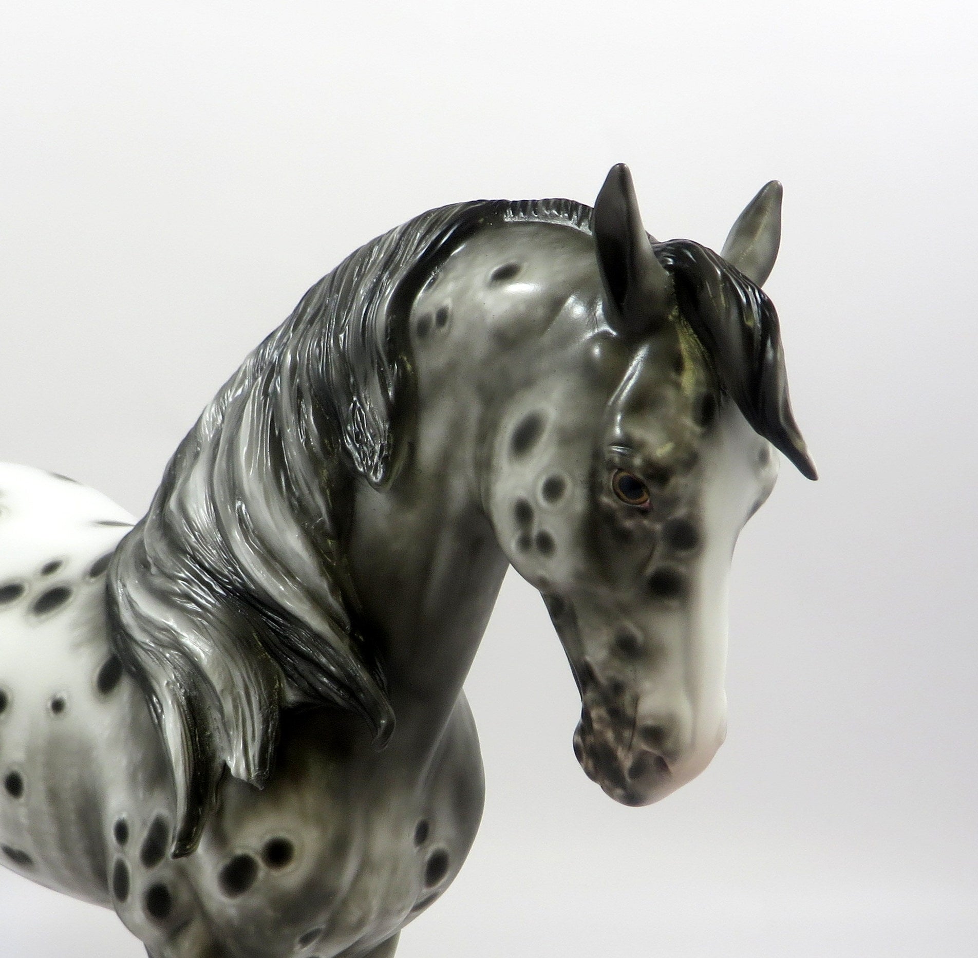 YOUNG AT HEART-OOAK LOUD APPALOOSA  ANDALUSIAN MODEL HORSE BY SHERYL LEISURE 5-30-19