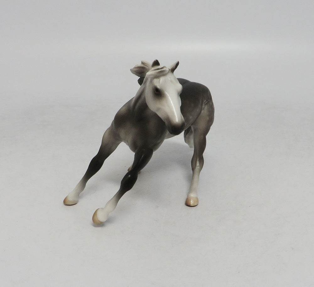 NAPLES-OOAK DAPPLE GREY CUTTER CHIP WITH CALF SW 2018