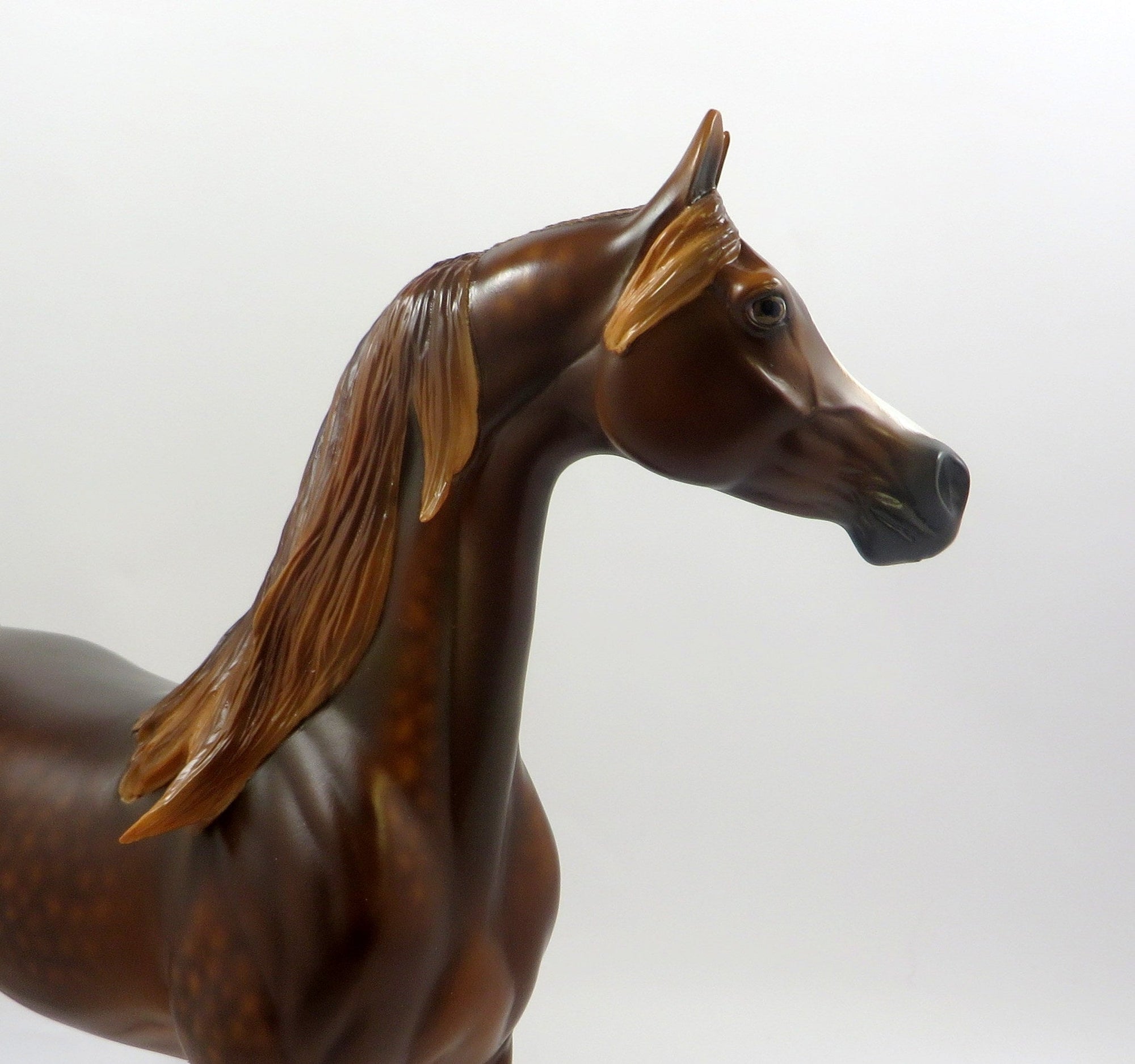 THRILL OF IT ALL -OOAK DAPPLE CHESTNUT ARABIAN MODEL HORSE BY SHERYL LEISURE 5/29/19