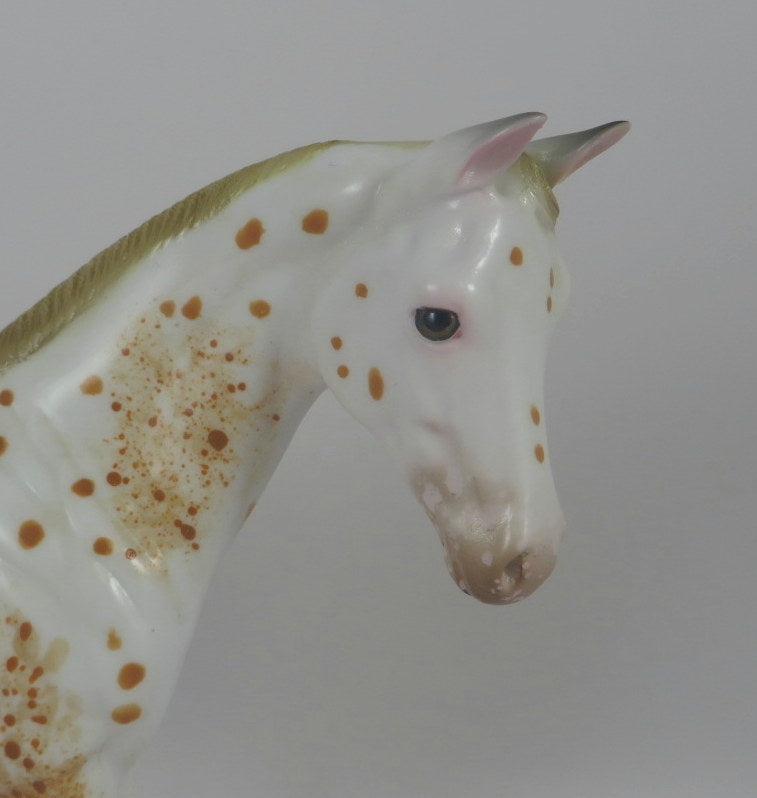 RED-OOAK CHESTNUT APPALOOSA WEANLING MODEL HORSE LHS 19