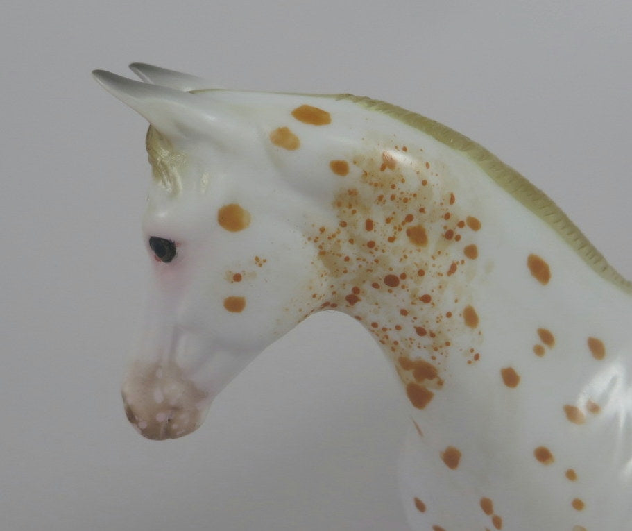 RED-OOAK CHESTNUT APPALOOSA WEANLING MODEL HORSE LHS 19