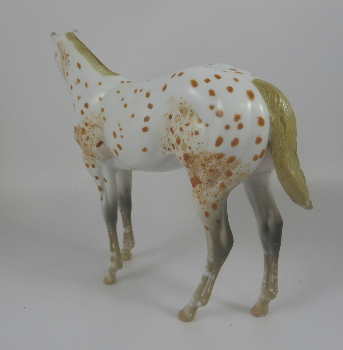 RED-OOAK CHESTNUT APPALOOSA WEANLING MODEL HORSE LHS 19