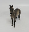 dapple grey