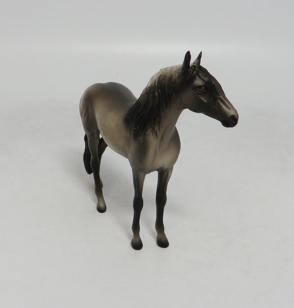 HILTON-OOAK DAPPLE GREY ANDALUSIAN CHIP BY SHERYL LEISURE 10/12/18