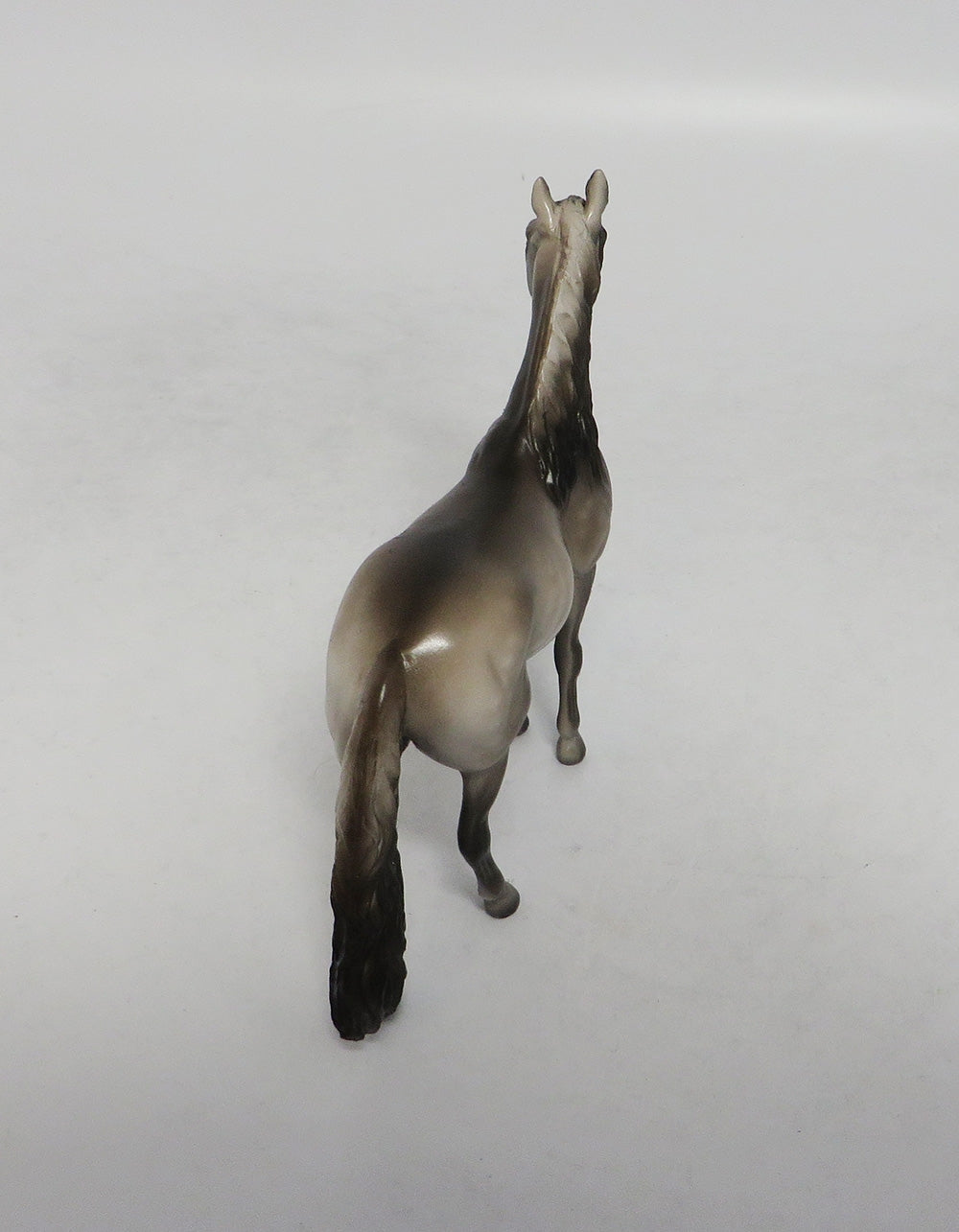 HILTON-OOAK DAPPLE GREY ANDALUSIAN CHIP BY SHERYL LEISURE 10/12/18