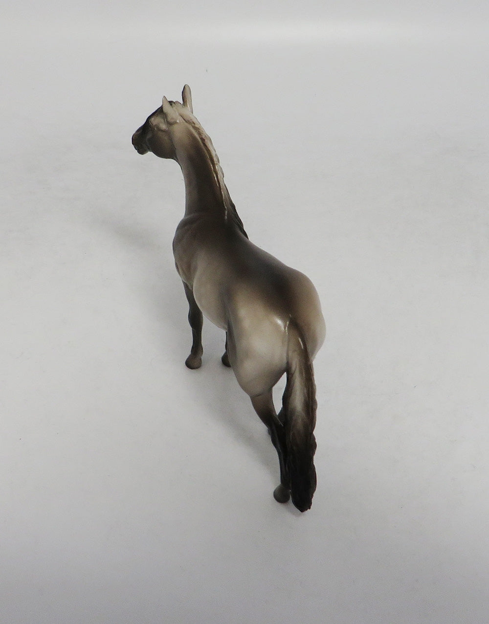 HILTON-OOAK DAPPLE GREY ANDALUSIAN CHIP BY SHERYL LEISURE 10/12/18