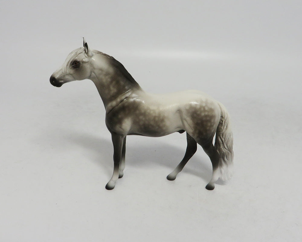 dapple grey andalusian