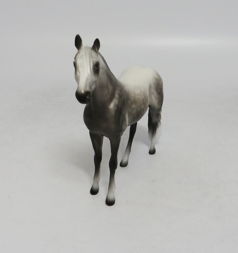 PISMO-OOAK DAPPLE GREY ANDALUSIAN CHIP BY SHERYL LEISURE 10/12/18