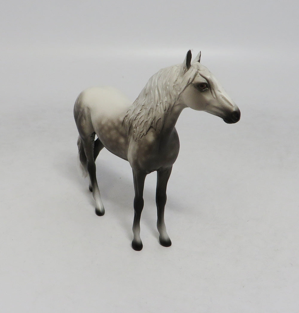 PISMO-OOAK DAPPLE GREY ANDALUSIAN CHIP BY SHERYL LEISURE 10/12/18