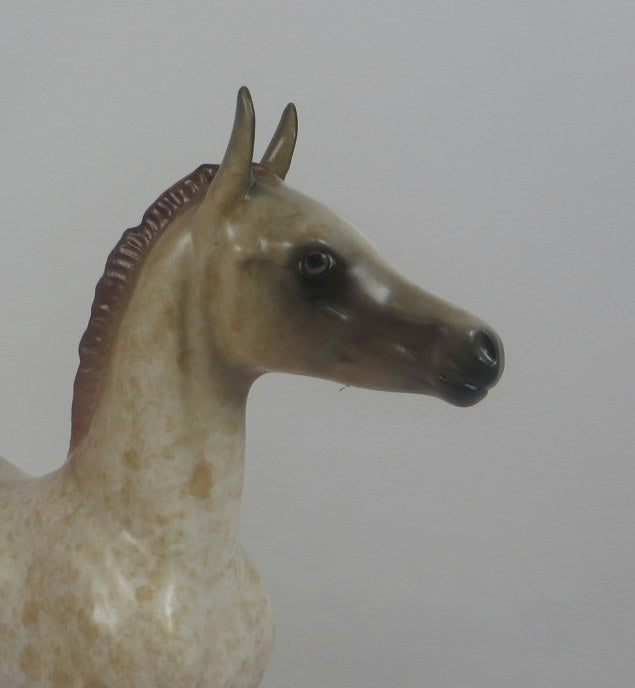 ROSALITA-OOAK RED ROAN FOAL MODEL HORSE BY AL LHS 19