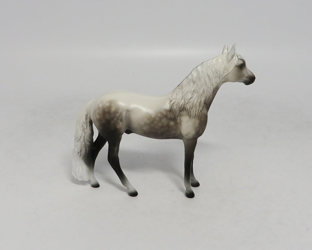 PISMO-OOAK DAPPLE GREY ANDALUSIAN CHIP BY SHERYL LEISURE 10/12/18
