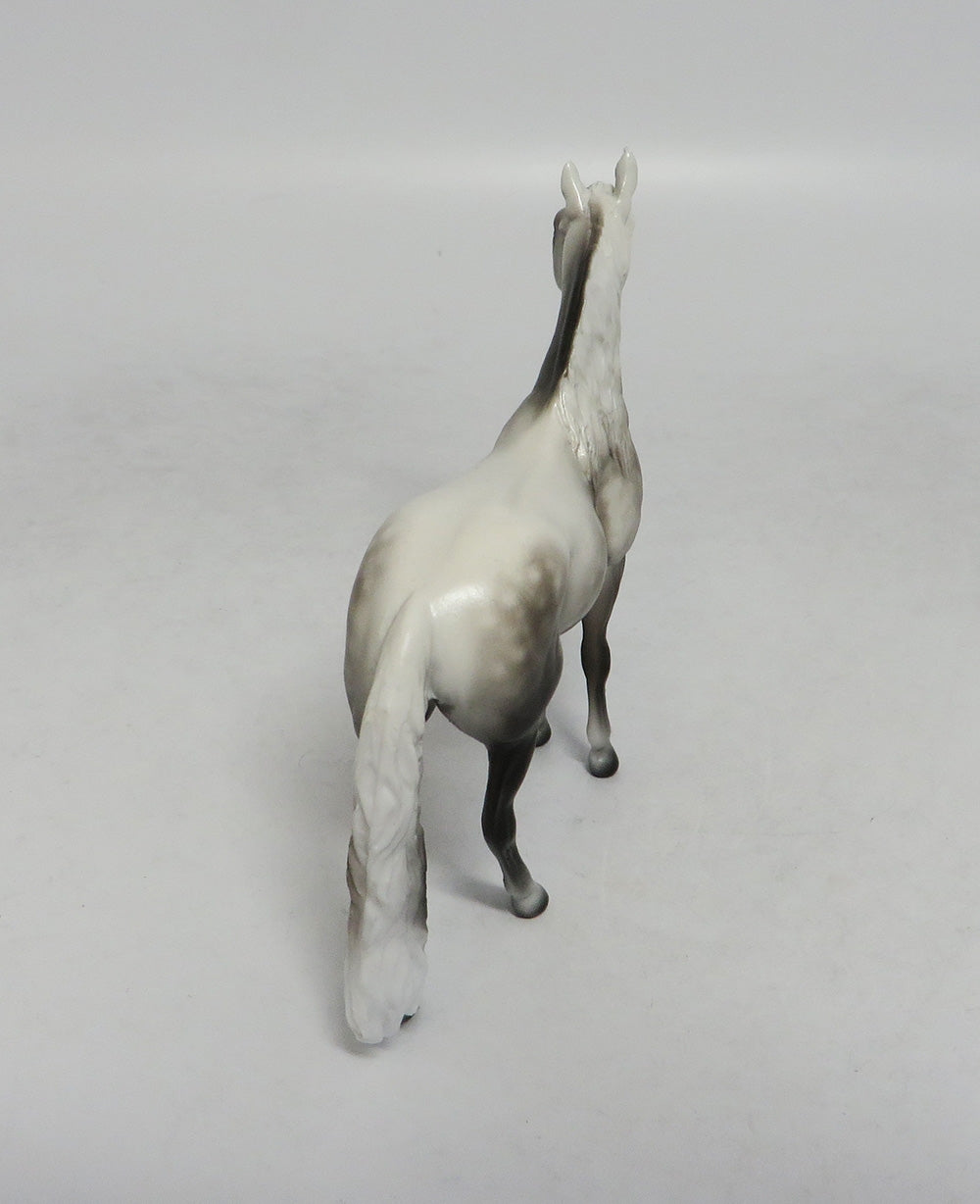 PISMO-OOAK DAPPLE GREY ANDALUSIAN CHIP BY SHERYL LEISURE 10/12/18