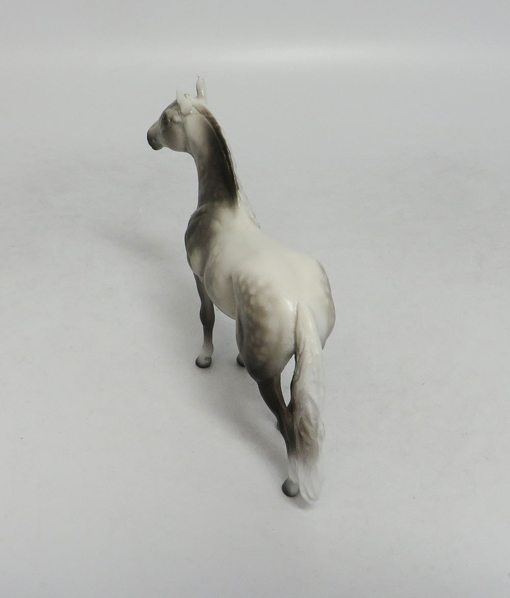 PISMO-OOAK DAPPLE GREY ANDALUSIAN CHIP BY SHERYL LEISURE 10/12/18