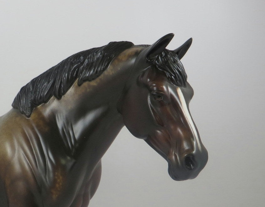 COCO MOCHO-OOAK BAY ROAN HEAVY DRAFT BY AL LHS 19