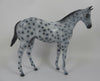 LIZZO-OOAK LOUD APPALOOSA WEANLING MODEL HORSE LHS 19