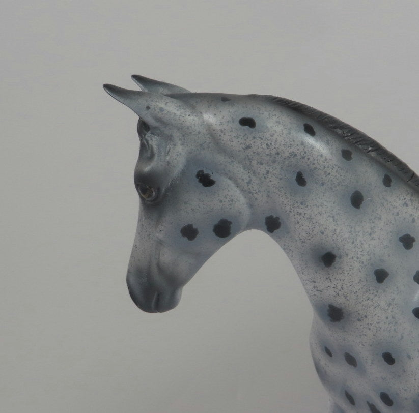 LIZZO-OOAK LOUD APPALOOSA WEANLING MODEL HORSE LHS 19