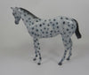 LIZZO-OOAK LOUD APPALOOSA WEANLING MODEL HORSE LHS 19