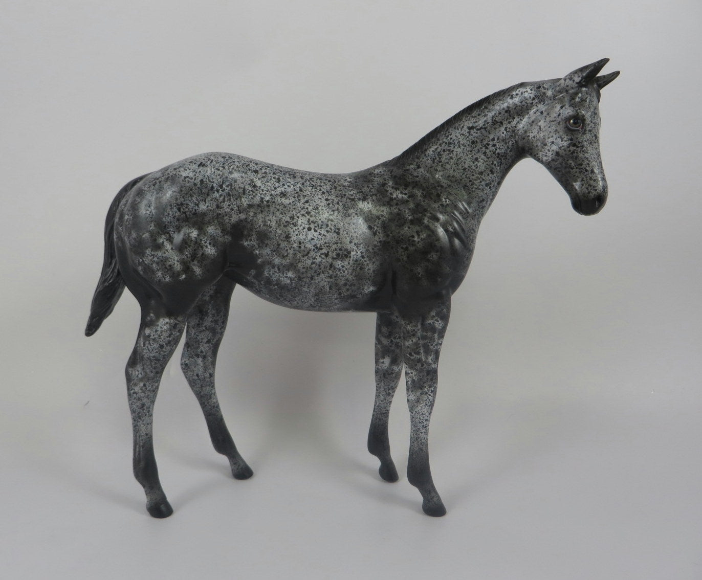 GEMMA-OOAK BLACK ROAN WEANLING MODLEL HORSE LHS 19