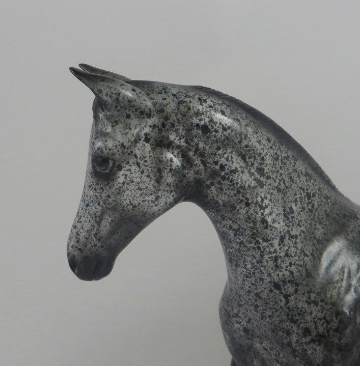 GEMMA-OOAK BLACK ROAN WEANLING MODLEL HORSE LHS 19